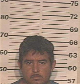 Lopez Armando - Hidalgo County, TX 