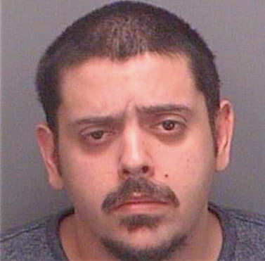 Hernandez Miguel - Pinellas County, FL 