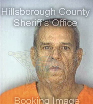 Gonzalez Armando - Hillsborough County, FL 