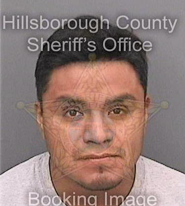 Castrolazaro Miguel - Hillsborough County, FL 