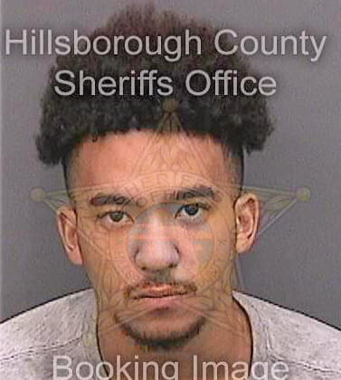 Hough Desmond - Hillsborough County, FL 