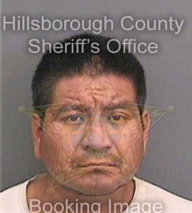 Hernandezplacid Moises - Hillsborough County, FL 