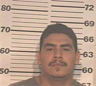 Maldonado Juan - Hidalgo County, TX 