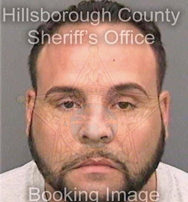 Perez Joaquin - Hillsborough County, FL 