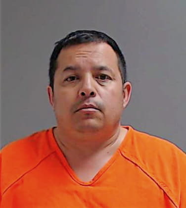 Hernandez Fidel - Hidalgo County, TX 