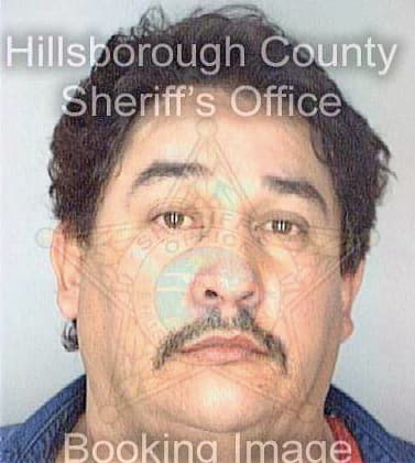 Meza Herminio - Hillsborough County, FL 
