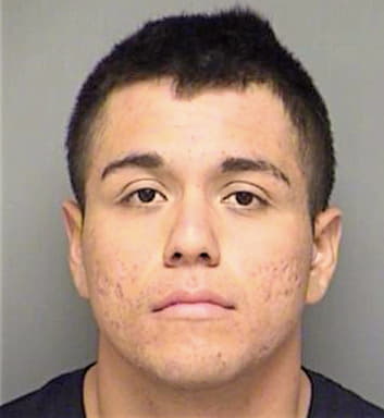 Delolmo Jose - Denton County, TX 