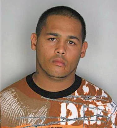 Borrero Alberto - Hillsborough County, FL 