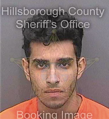 Vij Shivek - Hillsborough County, FL 