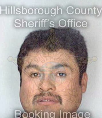 Soto Ismael - Hillsborough County, FL 