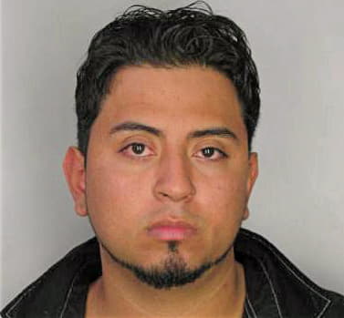 Mendezvera Luis - Hillsborough County, FL 