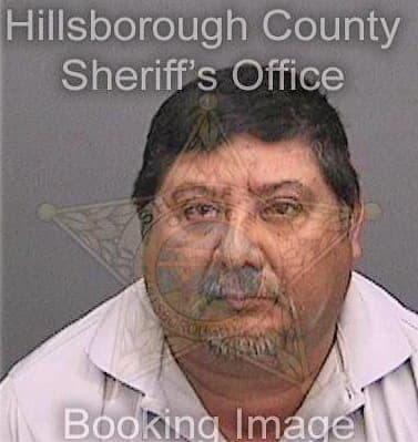 Gonzalezvarela Mario - Hillsborough County, FL 