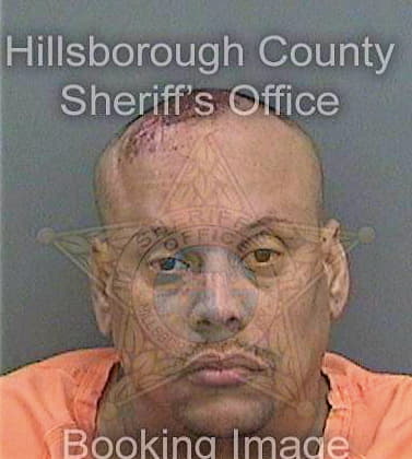 Marcanovazquez Jose - Hillsborough County, FL 