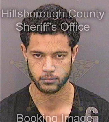 Belghazi Mohammed - Hillsborough County, FL 