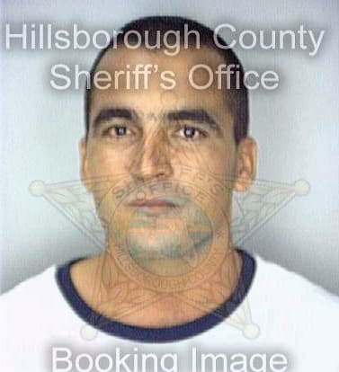 Linares Hector - Hillsborough County, FL 