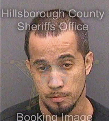 Lopez Anthony - Hillsborough County, FL 