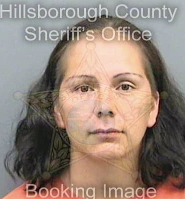 Garcia Reyna - Hillsborough County, FL 