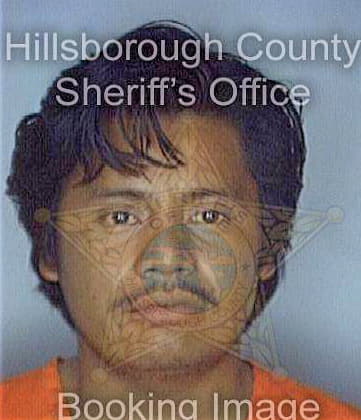 Baltazar Emiliano - Hillsborough County, FL 