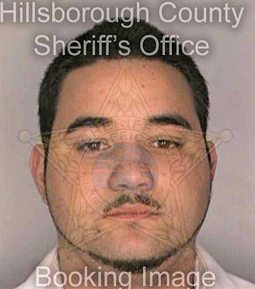 Mendoza Luis - Hillsborough County, FL 