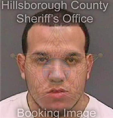 Ramirez Rodney - Hillsborough County, FL 