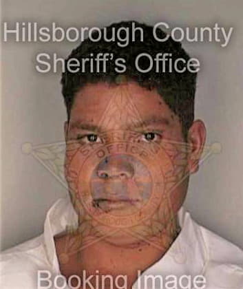 Mezafuentes Migual - Hillsborough County, FL 