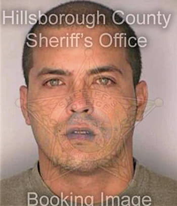 Ledo Sergio - Hillsborough County, FL 