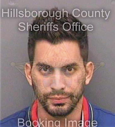 Soto Enrique - Hillsborough County, FL 