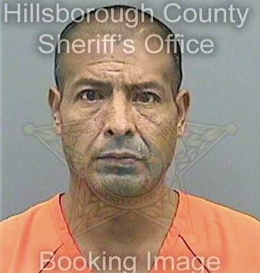 Lopez Dagoberto - Hillsborough County, FL 