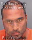 Hamid Aleem - Pinellas County, FL 