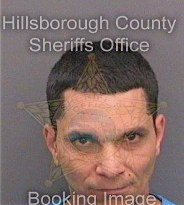 Philippus Wayne - Hillsborough County, FL 