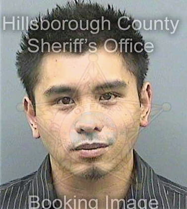 Piedad Louie - Hillsborough County, FL 