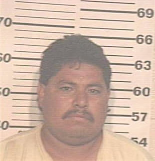 Hernandez Eduardo - Hidalgo County, TX 