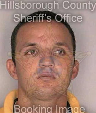 Mejia Elias - Hillsborough County, FL 