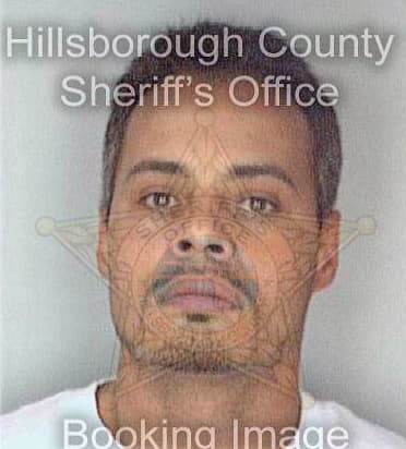 Melendezsobrado Jesus - Hillsborough County, FL 