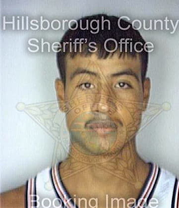 Silva Roberto - Hillsborough County, FL 
