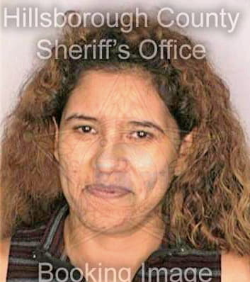 Ramirez Carmen - Hillsborough County, FL 