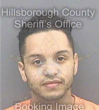 Garzon Juan - Hillsborough County, FL 