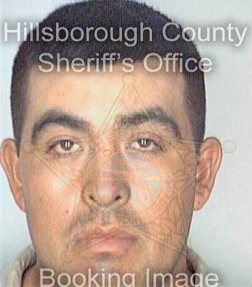 Escobarinfante Ramiro - Hillsborough County, FL 