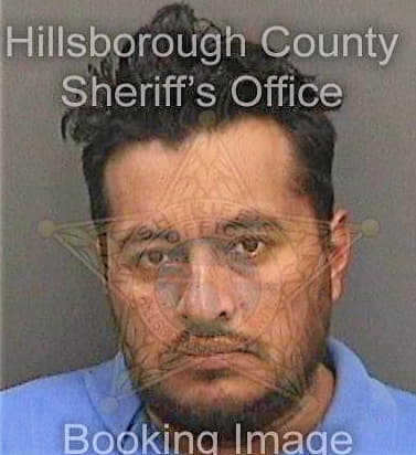 Trejoramirez Santiago - Hillsborough County, FL 