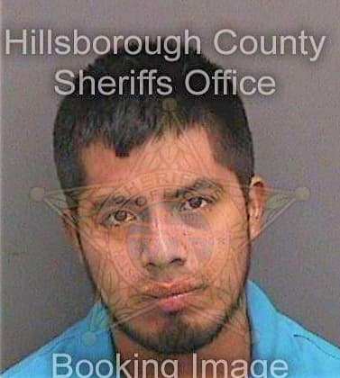 Velazquezdeleon Absalon - Hillsborough County, FL 