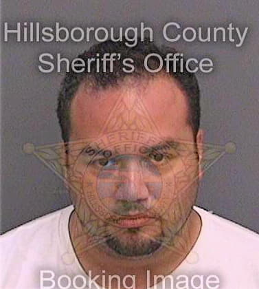 Jimenez Dario - Hillsborough County, FL 