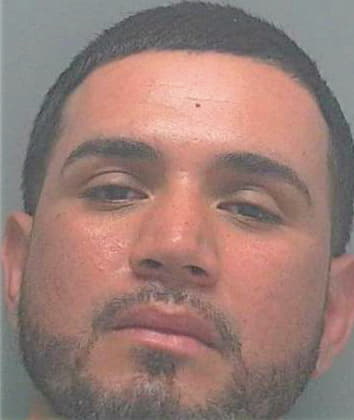 Reina Jorge - Lee County, FL 