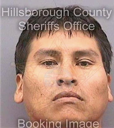 Zuritacastro Reinaldo - Hillsborough County, FL 