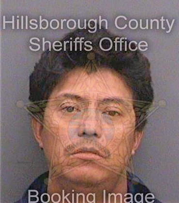 Sancheznava Noe - Hillsborough County, FL 