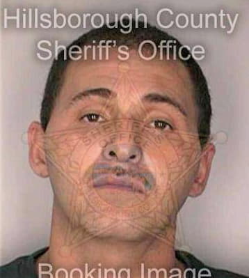 Gonzalez Gregorio - Hillsborough County, FL 