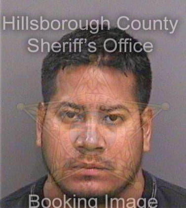 Cajina Hector - Hillsborough County, FL 