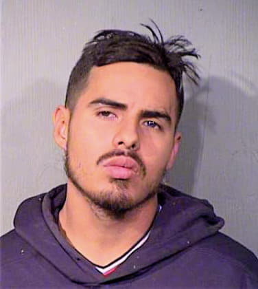 Penaloza-Monje Jose - Maricopa County, AZ 