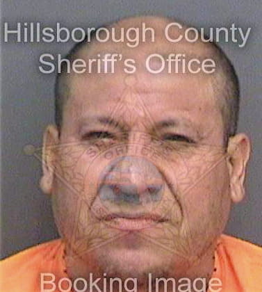 Silva Vicente - Hillsborough County, FL 