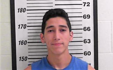 Hernandez Luis - Davis County, UT 