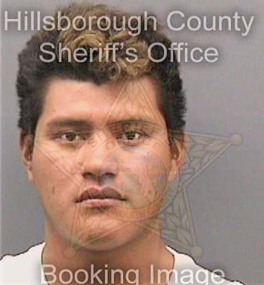 Perezmendez Salvador - Hillsborough County, FL 